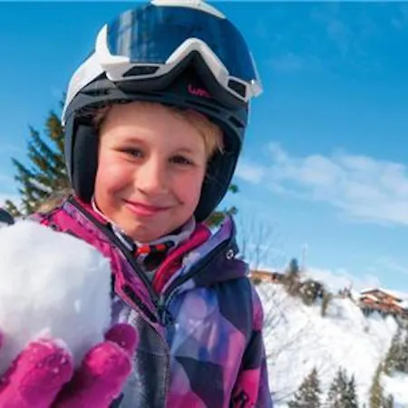 Apartment Exhilarating Les Du Prariand Sleeps 2 Megeve